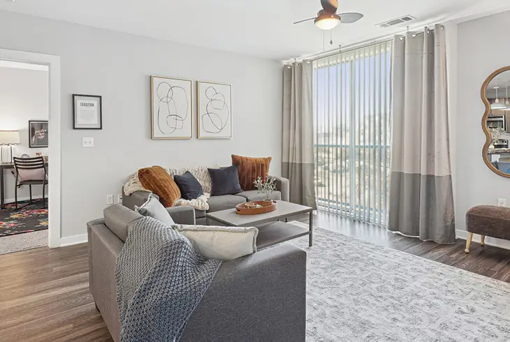 Fully furnished living room